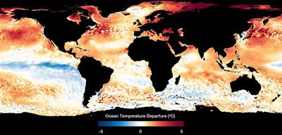 Impacts of marine heat extremes on bivalves